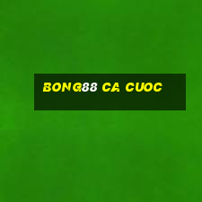 bong88 ca cuoc