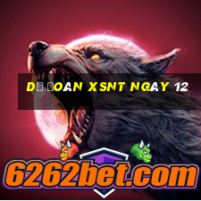 Dự đoán XSNT ngày 12