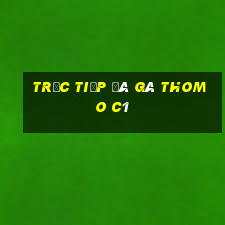 trực tiếp đá gà thomo c1