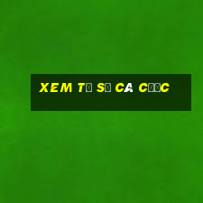 xem tỷ số cá cược