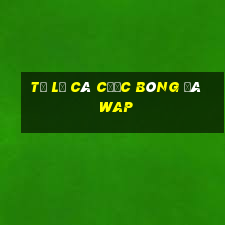 tỷ lệ cá cược bóng đá wap