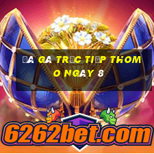 đá gà trực tiếp thomo ngày 8