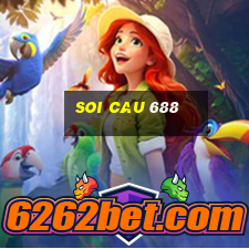 soi cau 688