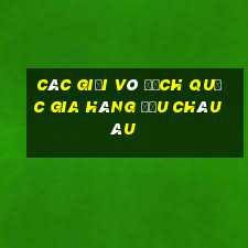 các giải vô địch quốc gia hàng đầu châu âu