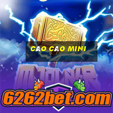 cào cào mini