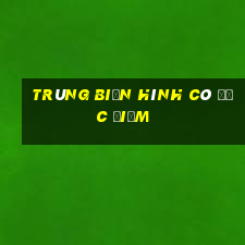 trùng biến hình có đặc điểm