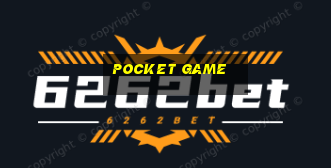 Pocket game