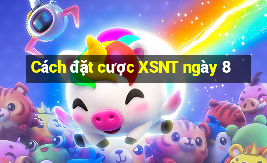 Cách đặt cược XSNT ngày 8