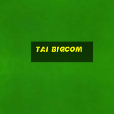 tai bigcom