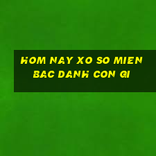 hom nay xo so mien bac danh con gi