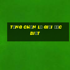 tổng chẵn lẻ giải đặc biệt