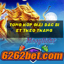 tong hop giai dac biet theo thang