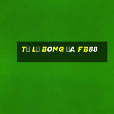 tỷ lệ bóng đá fb88