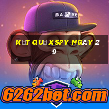 kết quả XSPY ngày 29