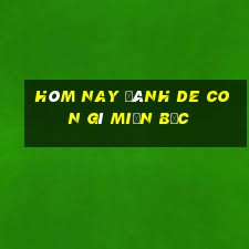 hôm nay đánh de con gì miền bắc