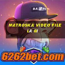 matroska video file là gì