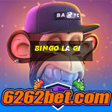 bingo là gì