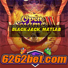 blackjack matlab