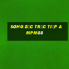 sòng bạc trực tiếp ampm88