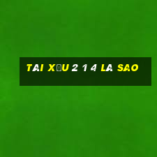 tài xỉu 2 1 4 là sao