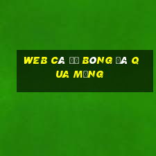 web cá độ bóng đá qua mạng