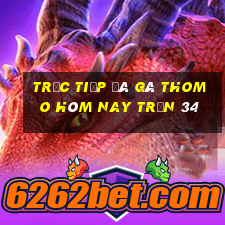 trực tiếp đá gà thomo hôm nay trận 34