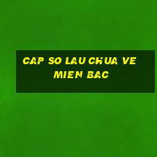 cap so lau chua ve mien bac