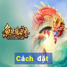 Cách đặt cược XSQB ngày 7