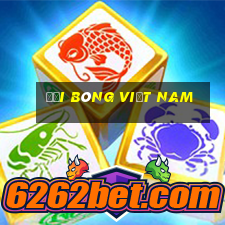 đội bóng việt nam