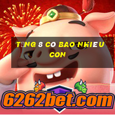 tổng 8 có bao nhiêu con