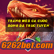 trang web ca cuoc bong da truc tuyen