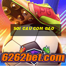 soi cau com gao