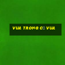 vua trong cờ vua