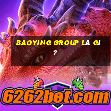 Baoying Group là gì?