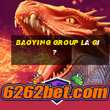 Baoying Group là gì?