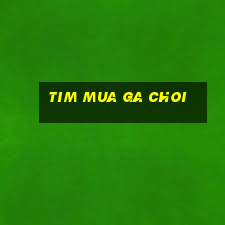 tim mua ga choi