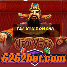 tài xỉu bong88