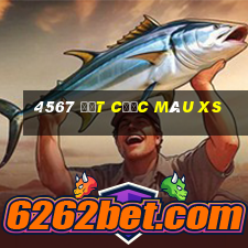 4567 đặt cược màu xs