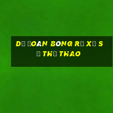 Dự đoán bóng rổ xổ số thể thao