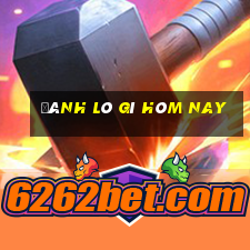 đánh lô gì hôm nay