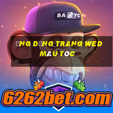 Ứng dụng trang wed màu tóc