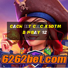 Cách đặt cược XSDTMB ngày 12