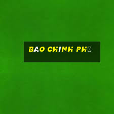 báo chính phủ