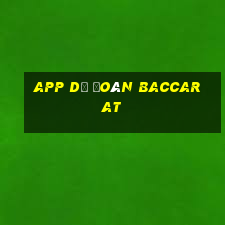 app dự đoán baccarat