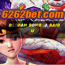 Dự đoán bóng đá Baidu