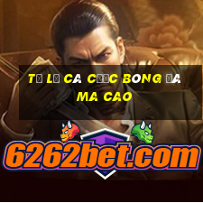 tỷ lệ cá cược bóng đá ma cao