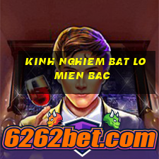 kinh nghiem bat lo mien bac