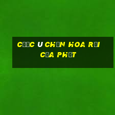 cước ù chắn hoa rơi cửa phật