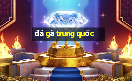 đá gà trung quốc