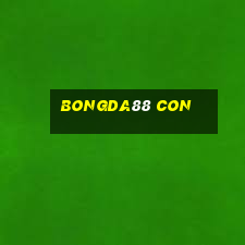 bongda88 con